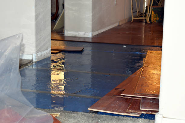 Professional Emergency Water Damage Restoration technician working in Mingus, TX